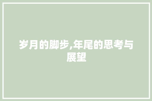 岁月的脚步,年尾的思考与展望 词汇积累