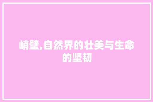 峭壁,自然界的壮美与生命的坚韧