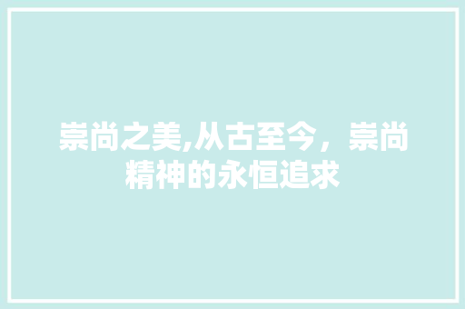 崇尚之美,从古至今，崇尚精神的永恒追求 写作素材