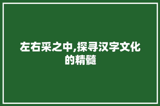 左右采之中,探寻汉字文化的精髓