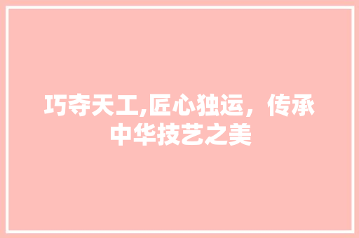 巧夺天工,匠心独运，传承中华技艺之美 范文赏析