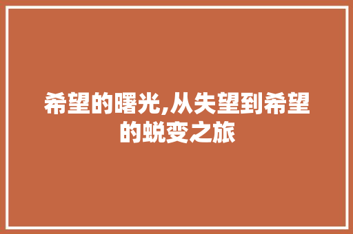 希望的曙光,从失望到希望的蜕变之旅