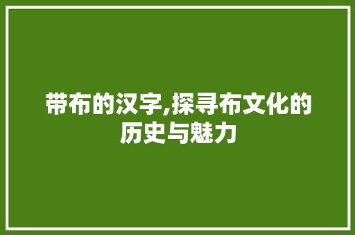 带布的汉字,探寻布文化的历史与魅力 诗歌创作