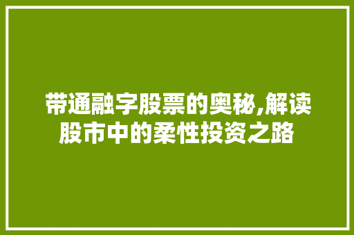 带通融字股票的奥秘,解读股市中的柔性投资之路