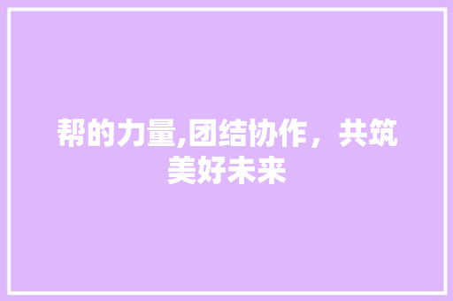 帮的力量,团结协作，共筑美好未来 简历模板