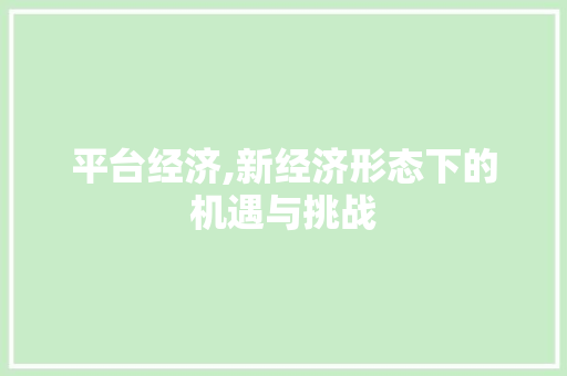 平台经济,新经济形态下的机遇与挑战