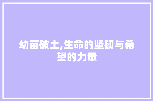 幼苗破土,生命的坚韧与希望的力量 范文赏析