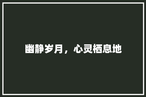 幽静岁月，心灵栖息地