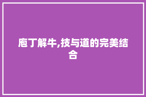 庖丁解牛,技与道的完美结合