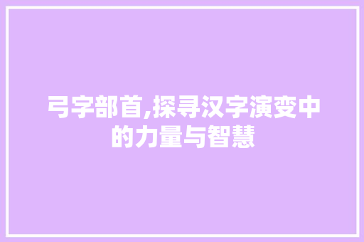 弓字部首,探寻汉字演变中的力量与智慧 词汇积累