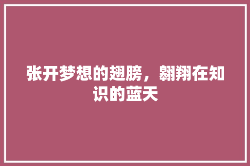 张开梦想的翅膀，翱翔在知识的蓝天 简历模板