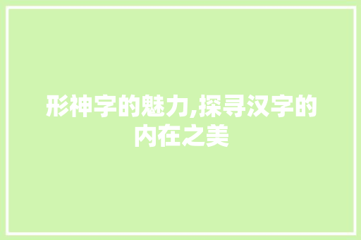 形神字的魅力,探寻汉字的内在之美 词汇积累