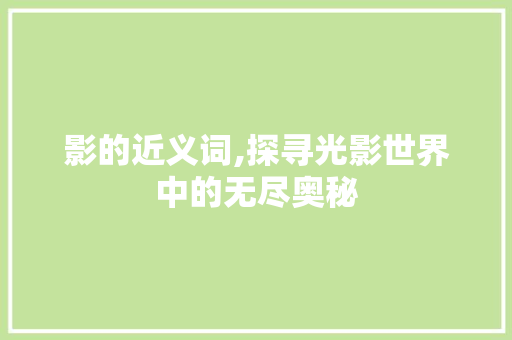 影的近义词,探寻光影世界中的无尽奥秘 商业文案