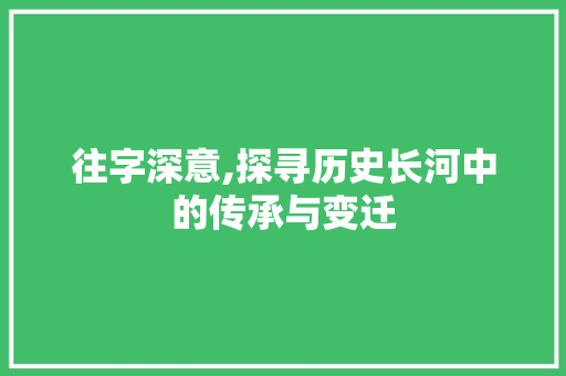 往字深意,探寻历史长河中的传承与变迁 写作素材