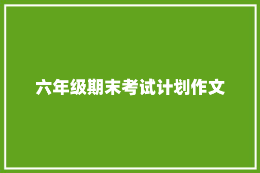 六年级期末考试计划作文 词汇积累
