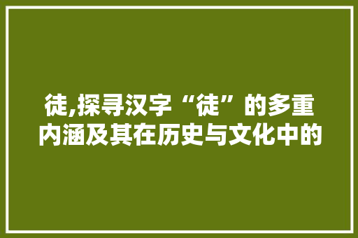 徒,探寻汉字“徒”的多重内涵及其在历史与文化中的演变 范文赏析