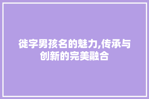徙字男孩名的魅力,传承与创新的完美融合 诗歌创作
