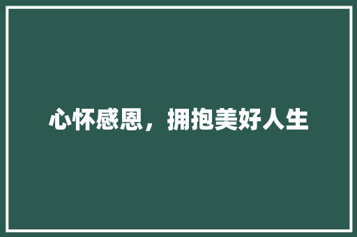 心怀感恩，拥抱美好人生 报告写作