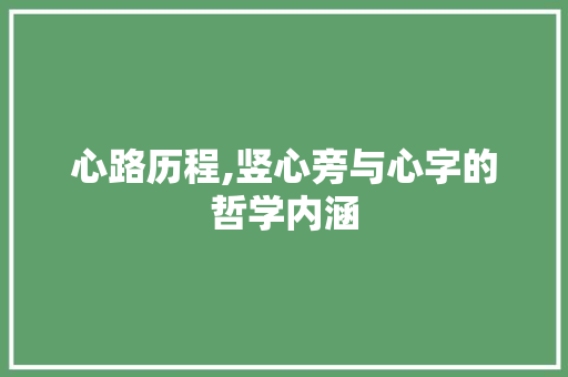心路历程,竖心旁与心字的哲学内涵