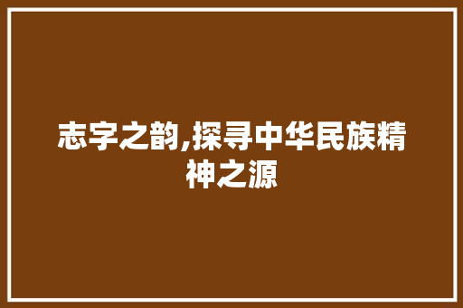志字之韵,探寻中华民族精神之源 词汇积累