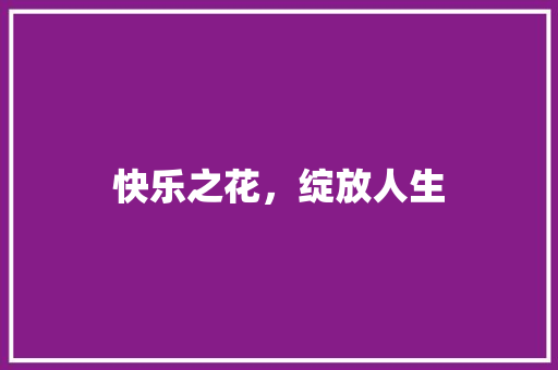 快乐之花，绽放人生 词汇积累