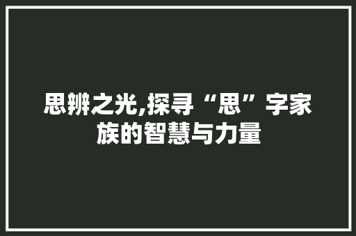 思辨之光,探寻“思”字家族的智慧与力量 词汇积累