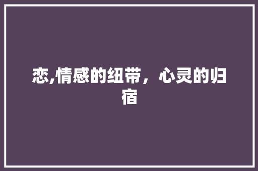恋,情感的纽带，心灵的归宿 写作素材