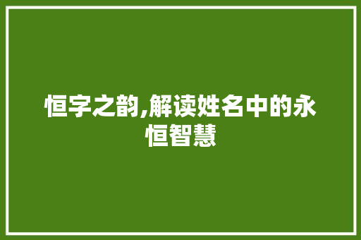 恒字之韵,解读姓名中的永恒智慧 商业文案