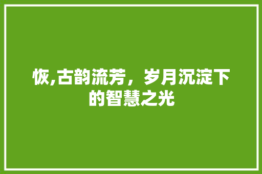 恢,古韵流芳，岁月沉淀下的智慧之光 简历模板