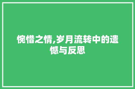 惋惜之情,岁月流转中的遗憾与反思 简历模板