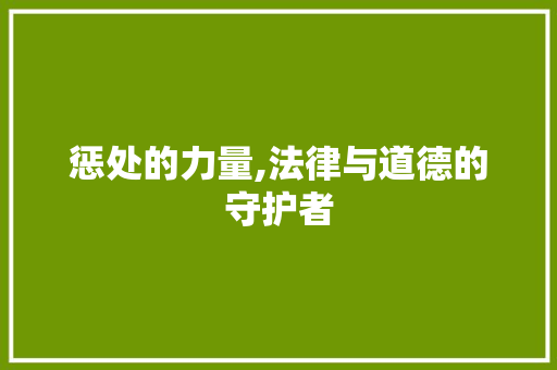 惩处的力量,法律与道德的守护者 报告写作