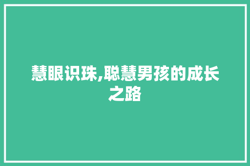 慧眼识珠,聪慧男孩的成长之路 商业文案