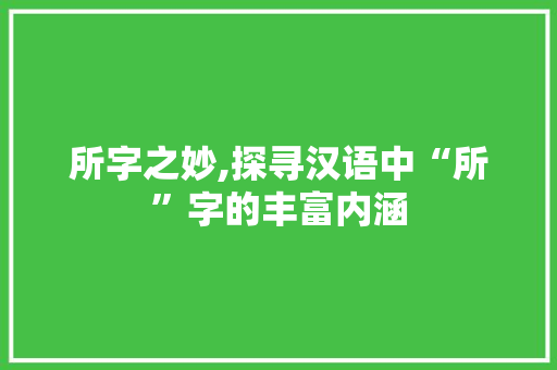 所字之妙,探寻汉语中“所”字的丰富内涵