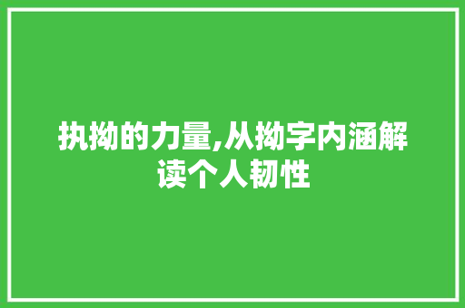 执拗的力量,从拗字内涵解读个人韧性 词汇积累