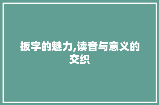 扳字的魅力,读音与意义的交织