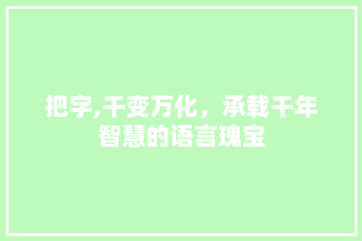 把字,千变万化，承载千年智慧的语言瑰宝 写作技巧