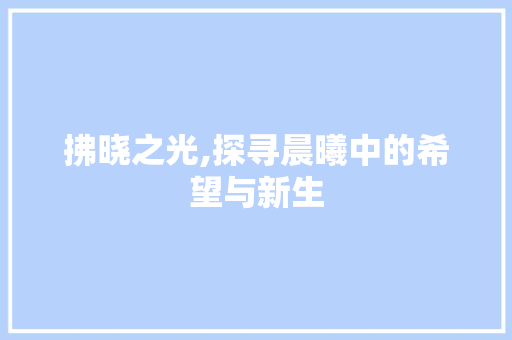 拂晓之光,探寻晨曦中的希望与新生