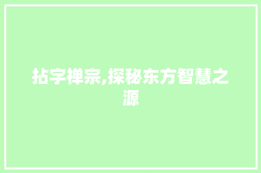 拈字禅宗,探秘东方智慧之源 词汇积累