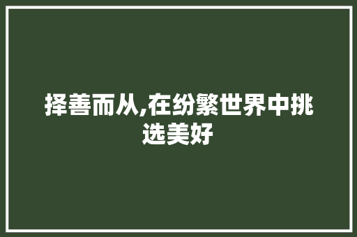 择善而从,在纷繁世界中挑选美好 诗歌创作