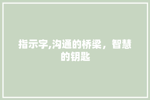 指示字,沟通的桥梁，智慧的钥匙 词汇积累