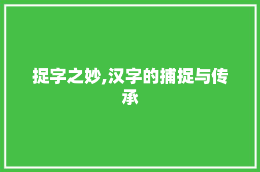 捉字之妙,汉字的捕捉与传承 范文赏析