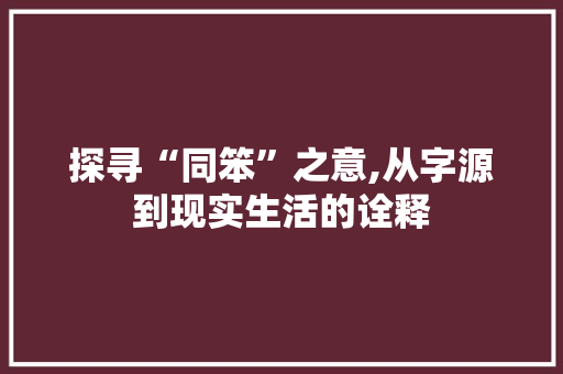 探寻“同笨”之意,从字源到现实生活的诠释
