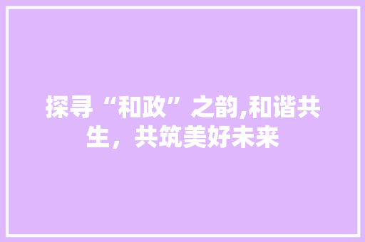 探寻“和政”之韵,和谐共生，共筑美好未来 报告写作
