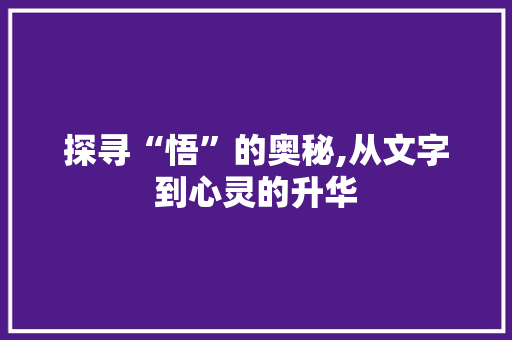 探寻“悟”的奥秘,从文字到心灵的升华