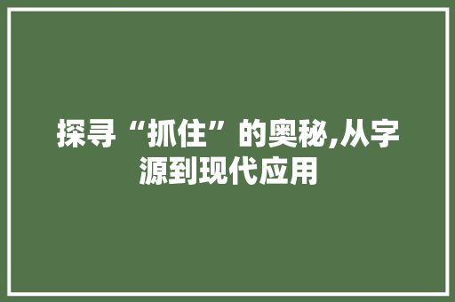 探寻“抓住”的奥秘,从字源到现代应用