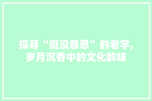 探寻“挺没意思”的老字,岁月沉香中的文化韵味