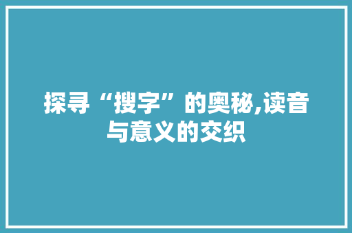 探寻“搜字”的奥秘,读音与意义的交织 写作社区