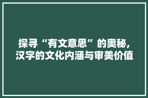 探寻“有文意思”的奥秘,汉字的文化内涵与审美价值