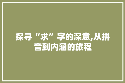 探寻“求”字的深意,从拼音到内涵的旅程 报告写作