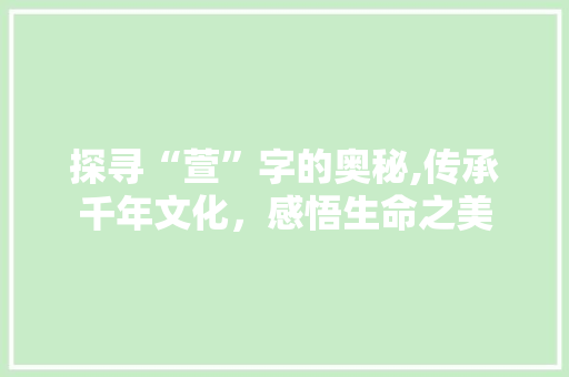 探寻“萱”字的奥秘,传承千年文化，感悟生命之美